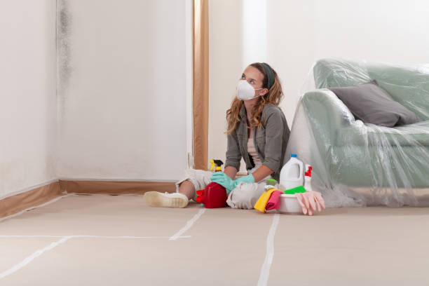 Reliable Mold Remediation contractor in Argyle, TX by WQB Mold Removal